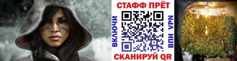 Купить наркотики сайты Железногорск-Илимский Псилоцибиновые грибы  Кокаин  АМФЕТАМИН  ГАШ  Меф  А ПВП 