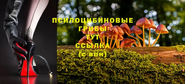 МДПВ Сосновка