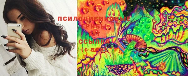 винт Бородино