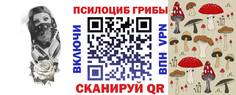 Галлюциногенные грибы Cubensis  MEGA как войти  Железногорск-Илимский 